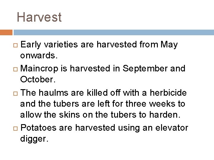 Harvest Early varieties are harvested from May onwards. Maincrop is harvested in September and