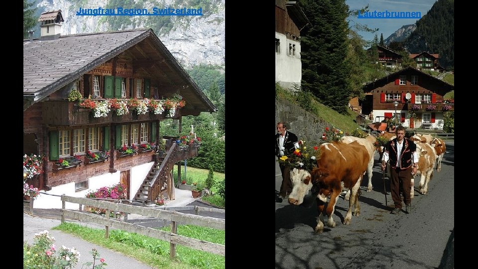 Jungfrau Region, Switzerland Lauterbrunnen 