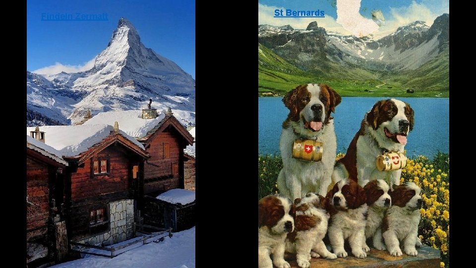 Findeln Zermatt St Bernards 