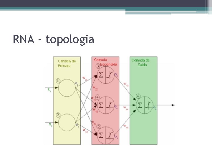 RNA - topologia RNA - topologia
