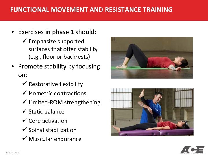 FUNCTIONAL MOVEMENT AND RESISTANCE TRAINING • Exercises in phase 1 should: ü Emphasize supported