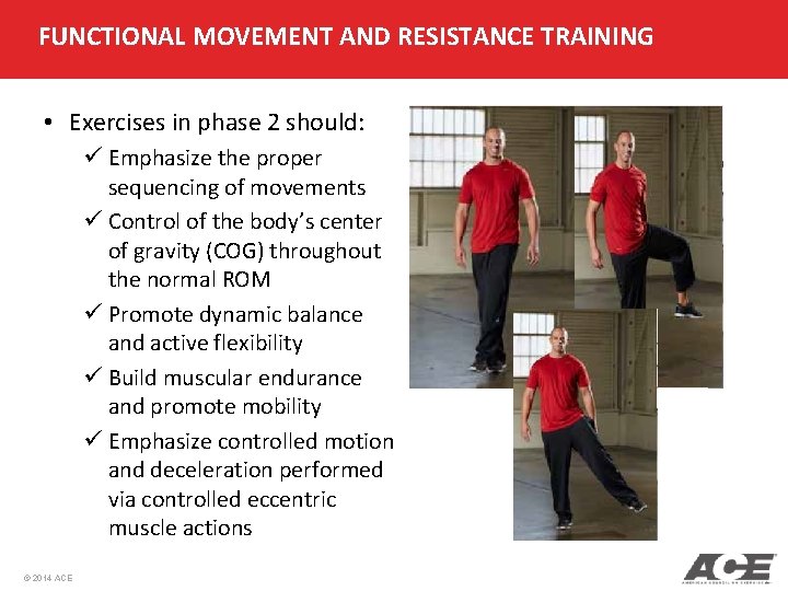 FUNCTIONAL MOVEMENT AND RESISTANCE TRAINING • Exercises in phase 2 should: ü Emphasize the