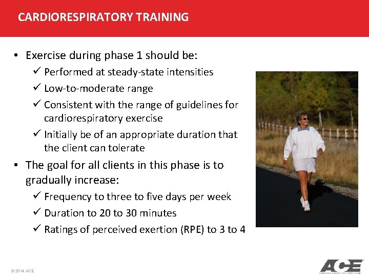 CARDIORESPIRATORY TRAINING • Exercise during phase 1 should be: ü Performed at steady-state intensities