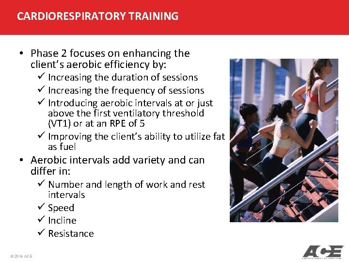CARDIORESPIRATORY TRAINING • Phase 2 focuses on enhancing the client’s aerobic efficiency by: ü
