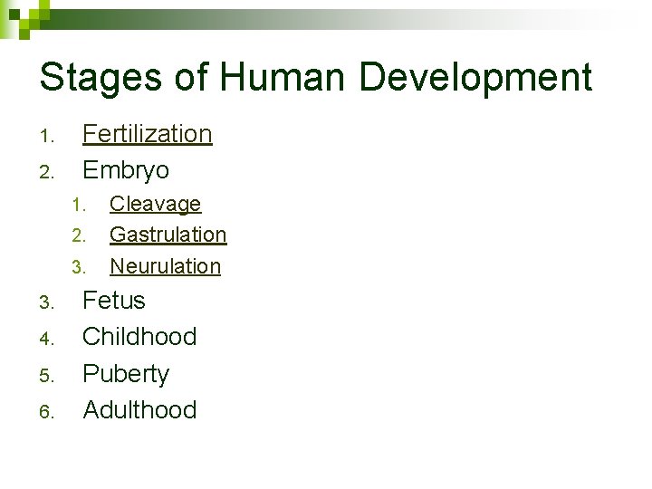 Stages of Human Development 1. 2. Fertilization Embryo 1. 2. 3. 4. 5. 6.