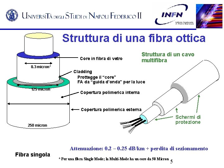 Struttura di una fibra ottica Core in fibra di vetro Struttura di un cavo