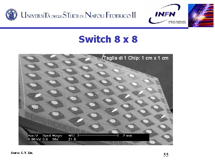 Switch 8 x 8 Taglia di 1 Chip: 1 cm x 1 cm Source: