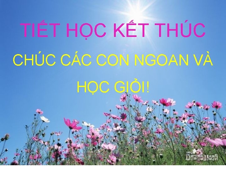 TIẾT HỌC KẾT THÚC CÁC CON NGOAN VÀ HỌC GIỎI! 