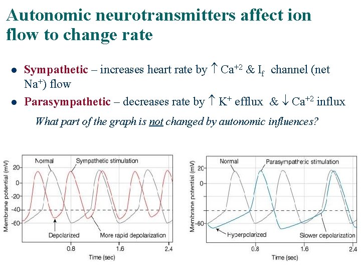 Autonomic neurotransmitters affect ion flow to change rate l l Sympathetic – increases heart