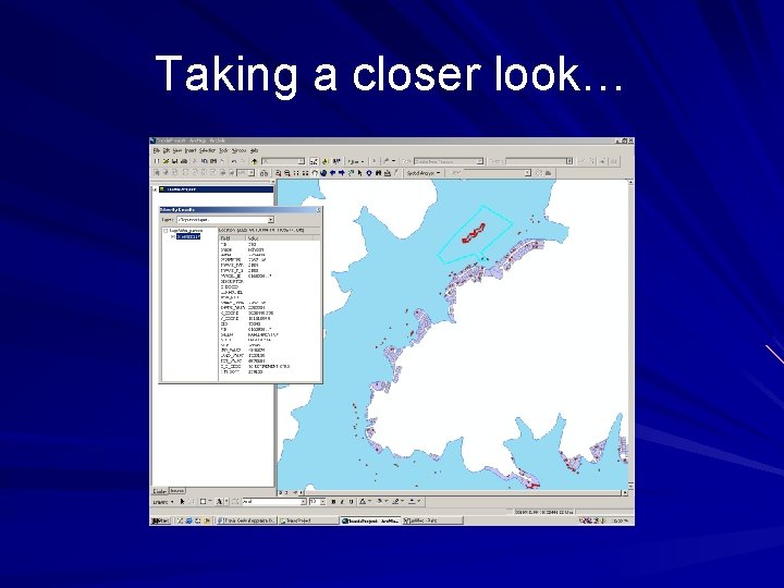 Taking a closer look… 