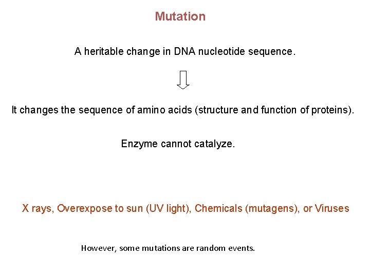 Mutation A heritable change in DNA nucleotide sequence. It changes the sequence of amino Mutation A heritable change in DNA nucleotide sequence. It changes the sequence of amino