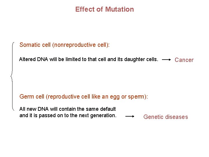 Effect of Mutation Somatic cell (nonreproductive cell): Altered DNA will be limited to that Effect of Mutation Somatic cell (nonreproductive cell): Altered DNA will be limited to that