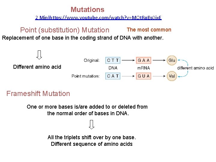 Mutations 2 Min)https: //www. youtube. com/watch? v=MOt. Rq. Bs 0 jx. E Point (substitution) Mutations 2 Min)https: //www. youtube. com/watch? v=MOt. Rq. Bs 0 jx. E Point (substitution)
