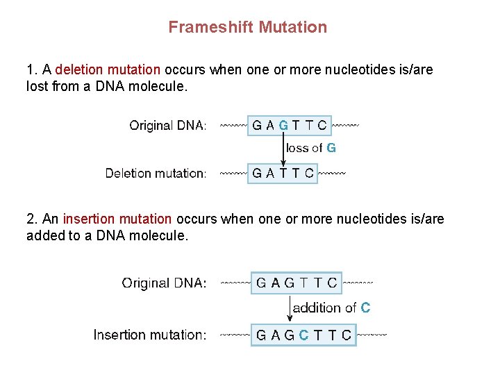 Frameshift Mutation 1. A deletion mutation occurs when one or more nucleotides is/are lost Frameshift Mutation 1. A deletion mutation occurs when one or more nucleotides is/are lost