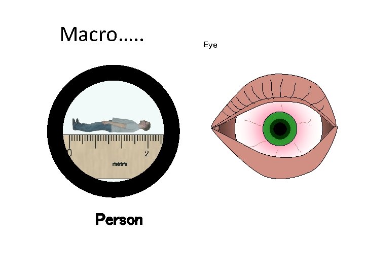 Macro…. . 2 Chapter 6 GCSE Science metre Person Eye Macro…. . 2 Chapter 6 GCSE Science metre Person Eye