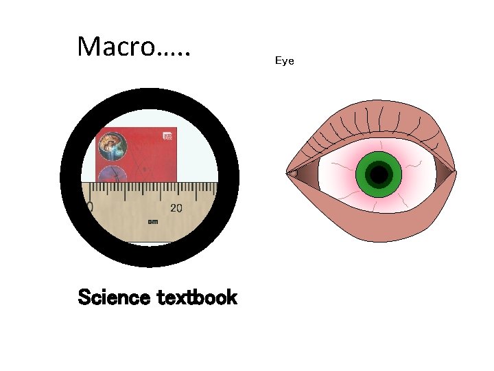 Macro…. . 20 Chapter 6 GCSE Science cm Science textbook Eye Macro…. . 20 Chapter 6 GCSE Science cm Science textbook Eye
