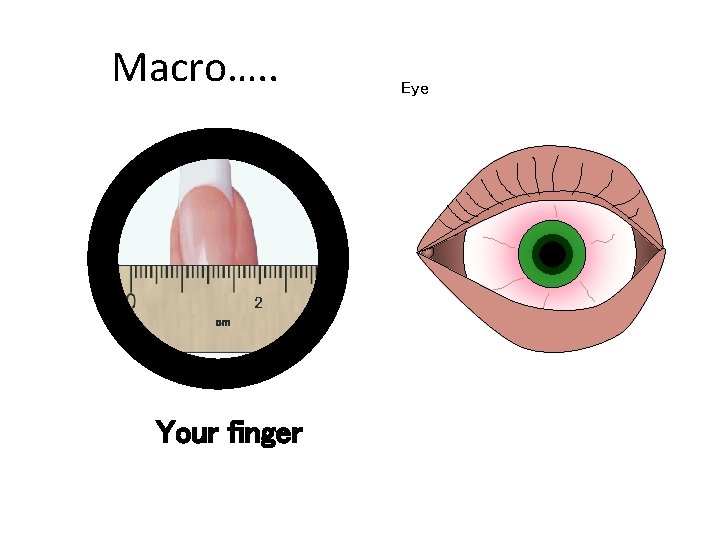 Macro…. . 2 Chapter 6 GCSE Science cm Your finger Eye Macro…. . 2 Chapter 6 GCSE Science cm Your finger Eye