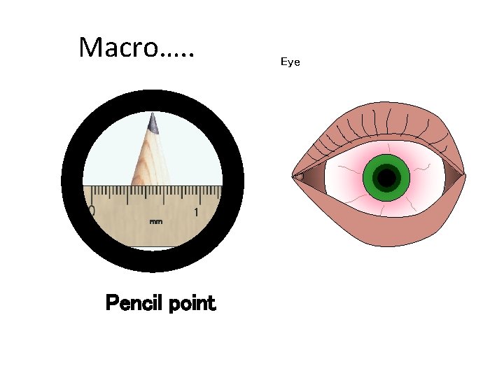 Macro…. . Chapter 6 GCSE Science mm 1 Pencil point Eye Macro…. . Chapter 6 GCSE Science mm 1 Pencil point Eye
