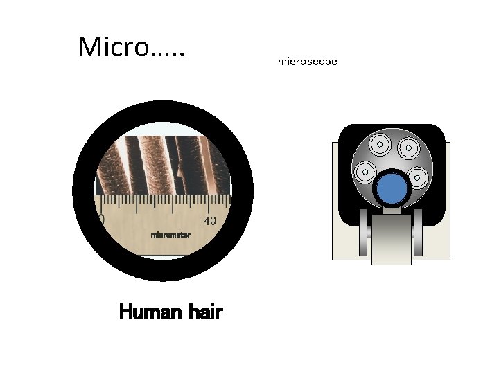 Micro…. . microscope 40 Chapter 6 GCSE Science micrometer Human hair Micro…. . microscope 40 Chapter 6 GCSE Science micrometer Human hair