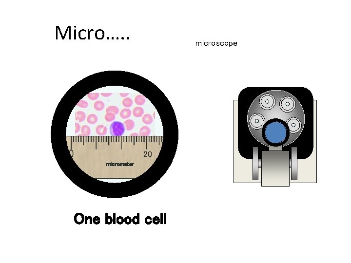 Micro…. . microscope 20 Chapter 6 GCSE Science micrometer One blood cell Micro…. . microscope 20 Chapter 6 GCSE Science micrometer One blood cell