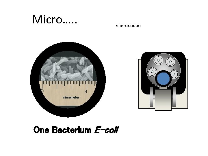Micro…. . microscope 4 Chapter 6 GCSE Science micrometer One Bacterium E-coli Micro…. . microscope 4 Chapter 6 GCSE Science micrometer One Bacterium E-coli