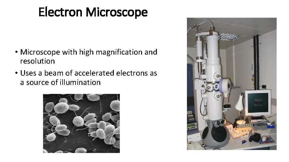 Electron Microscope • Microscope with high magnification and resolution • Uses a beam of