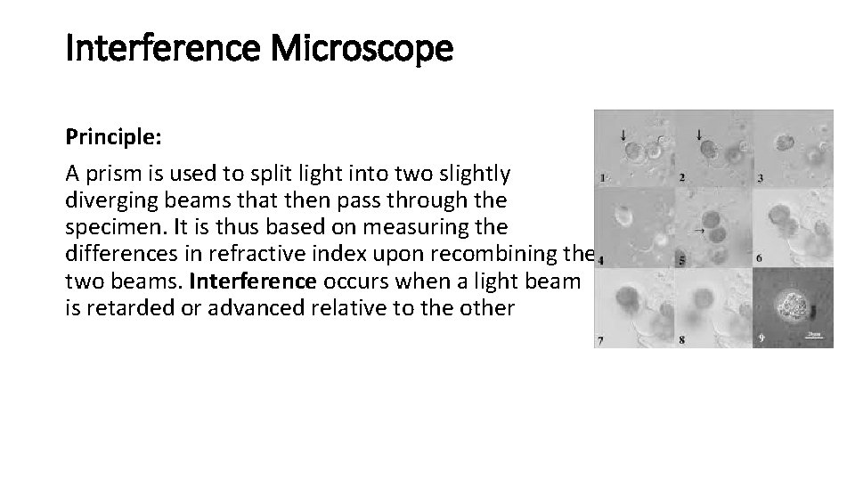 Interference Microscope Principle: A prism is used to split light into two slightly diverging