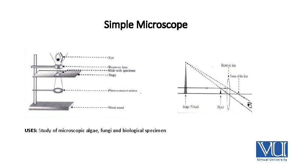 Simple Microscope USES: Study of microscopic algae, fungi and biological specimen 