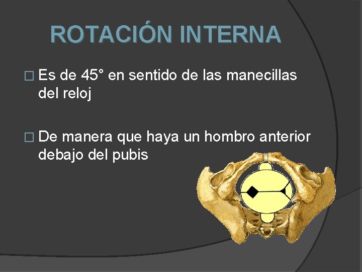 ROTACIÓN INTERNA � Es de 45° en sentido de las manecillas del reloj �