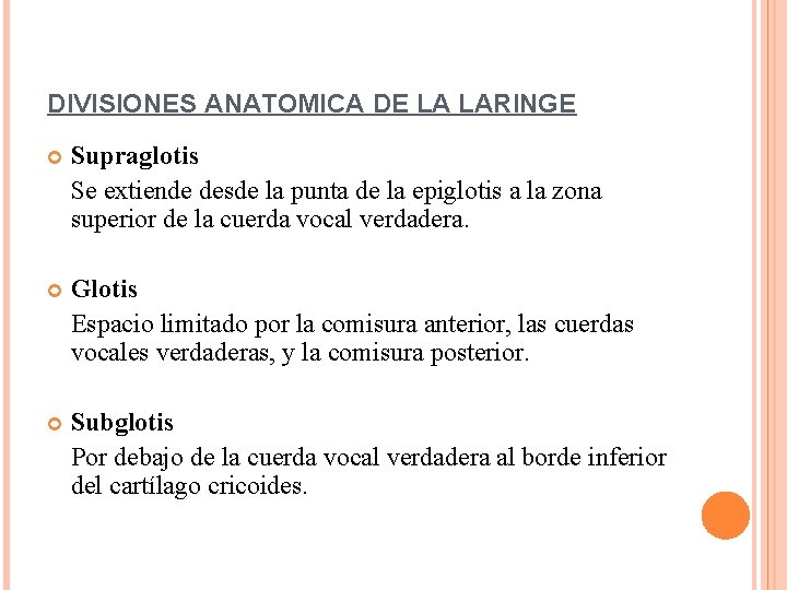 DIVISIONES ANATOMICA DE LA LARINGE Supraglotis Se extiende desde la punta de la epiglotis