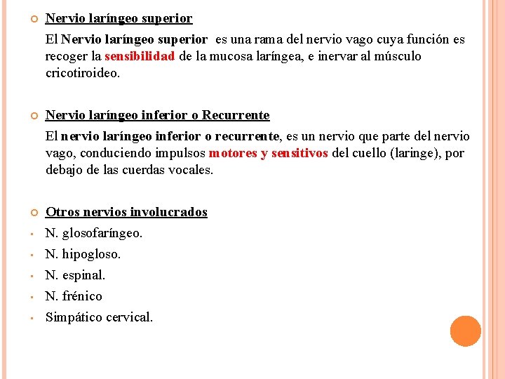  Nervio laríngeo superior El Nervio laríngeo superior es una rama del nervio vago