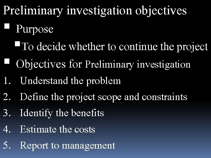 Preliminary investigation objectives Purpose To decide whether to continue the project Objectives for Preliminary