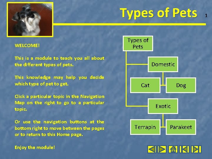 Types of Pets WELCOME! Types of Pets This is a module to teach you