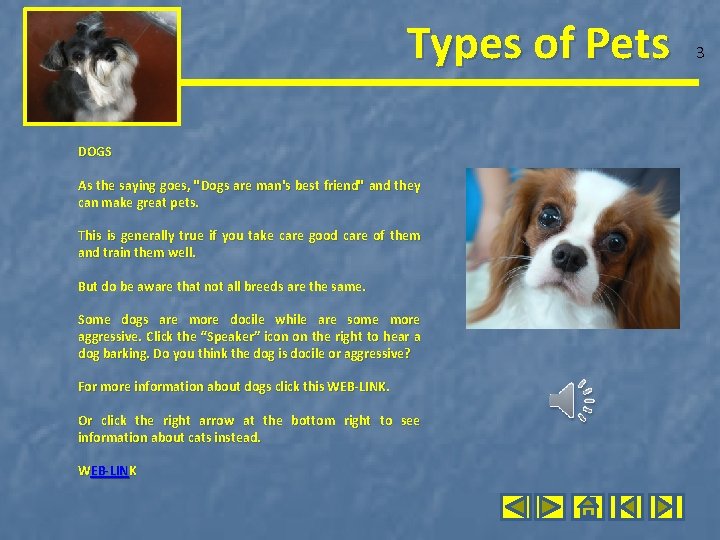 Types of Pets DOGS As the saying goes, "Dogs are man's best friend" and