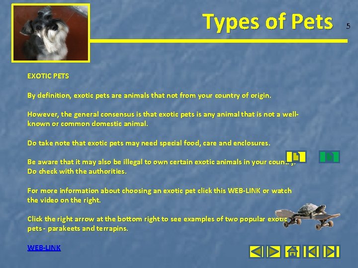 Types of Pets EXOTIC PETS By definition, exotic pets are animals that not from