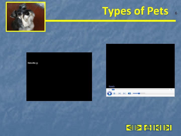 Types of Pets 6 