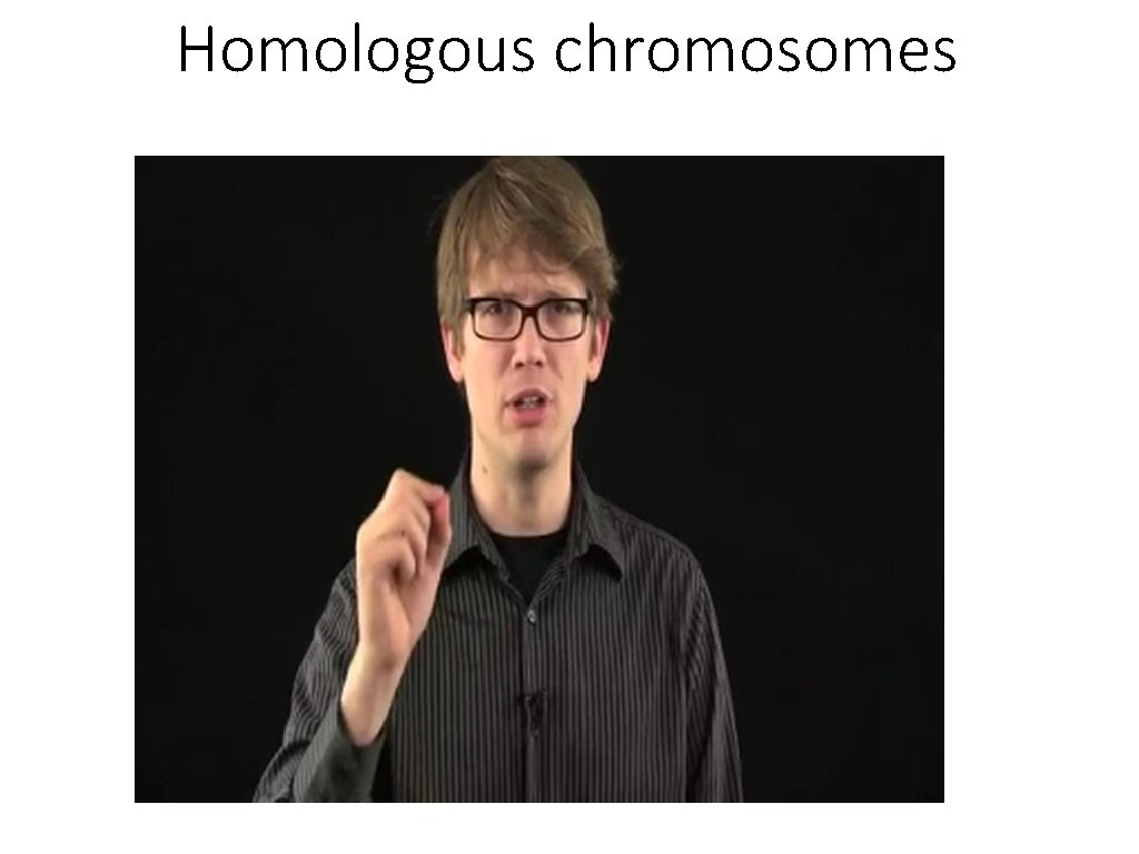 Homologous chromosomes 