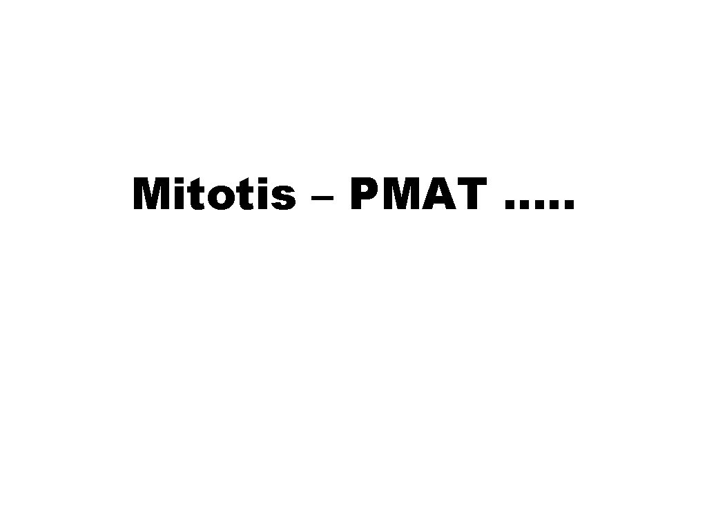 Mitotis – PMAT …. . 