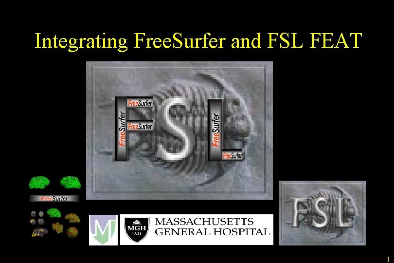 Integrating Free. Surfer and FSL FEAT 1 