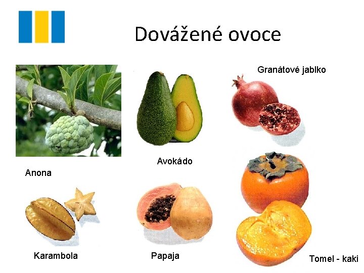 Dovážené ovoce Granátové jablko Avokádo Anona Karambola Papaja Tomel - kaki 