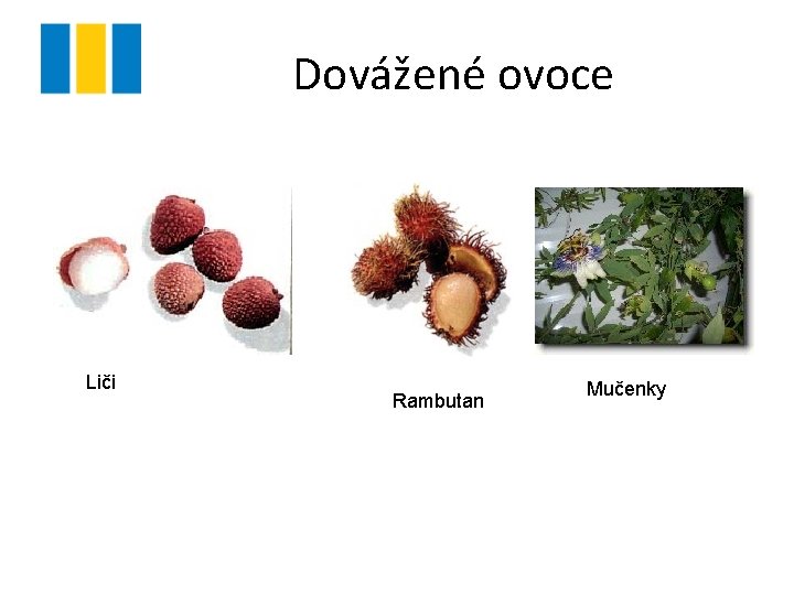 Dovážené ovoce Liči Rambutan Mučenky 