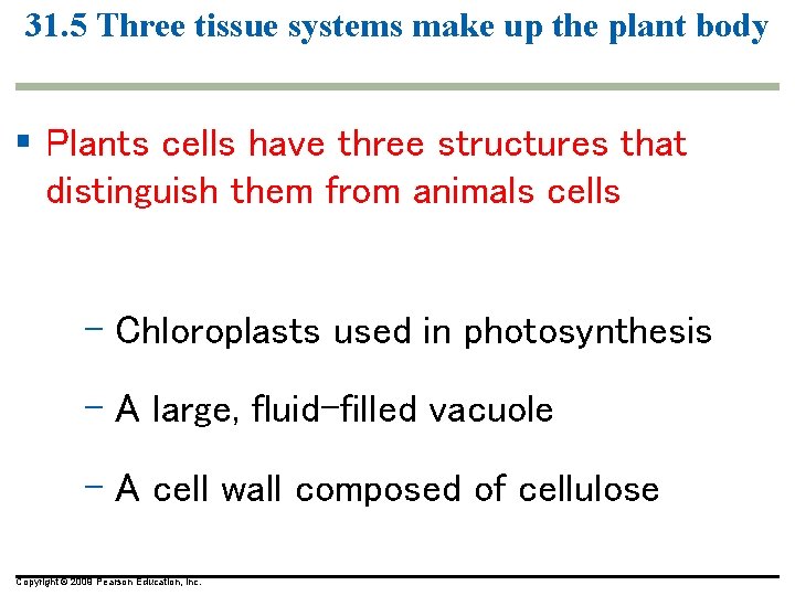 31. 5 Three tissue systems make up the plant body § Plants cells have 31. 5 Three tissue systems make up the plant body § Plants cells have