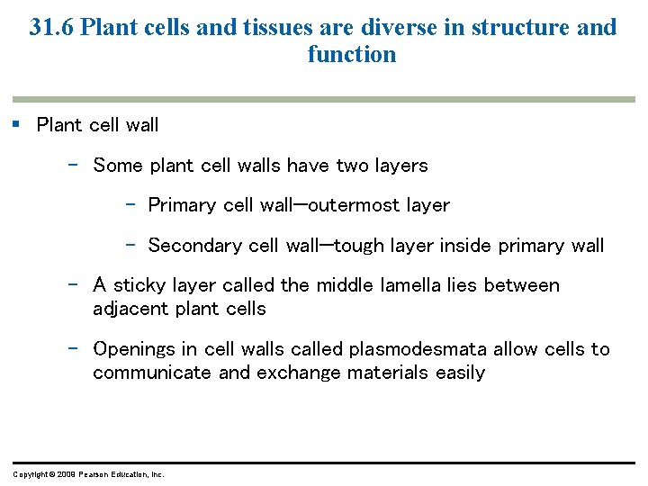 31. 6 Plant cells and tissues are diverse in structure and function § Plant 31. 6 Plant cells and tissues are diverse in structure and function § Plant