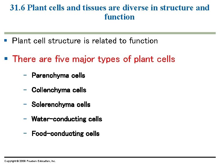31. 6 Plant cells and tissues are diverse in structure and function § Plant 31. 6 Plant cells and tissues are diverse in structure and function § Plant