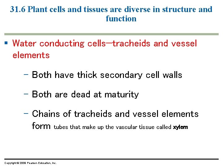 31. 6 Plant cells and tissues are diverse in structure and function § Water 31. 6 Plant cells and tissues are diverse in structure and function § Water