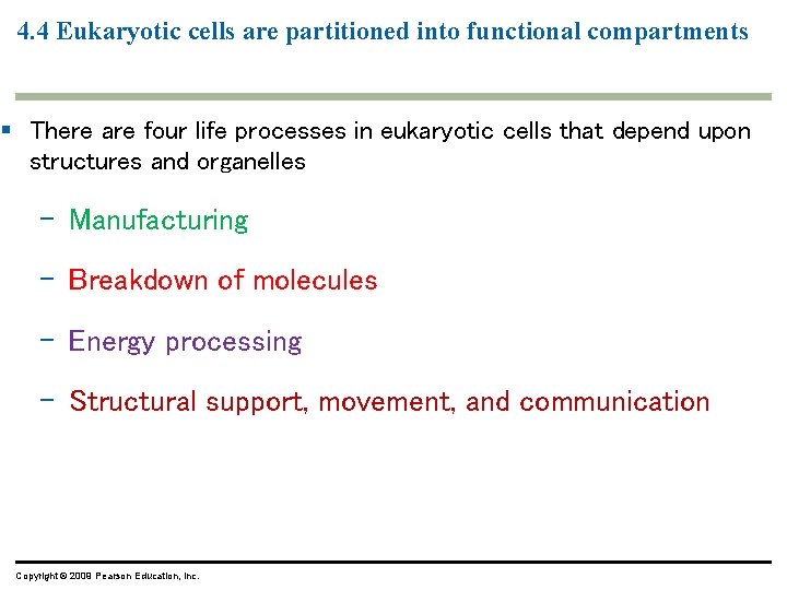 4. 4 Eukaryotic cells are partitioned into functional compartments § There are four life 4. 4 Eukaryotic cells are partitioned into functional compartments § There are four life
