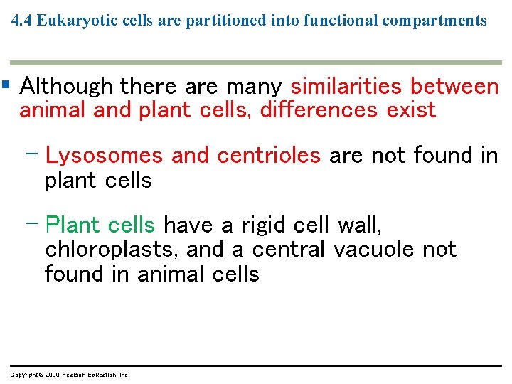 4. 4 Eukaryotic cells are partitioned into functional compartments § Although there are many 4. 4 Eukaryotic cells are partitioned into functional compartments § Although there are many