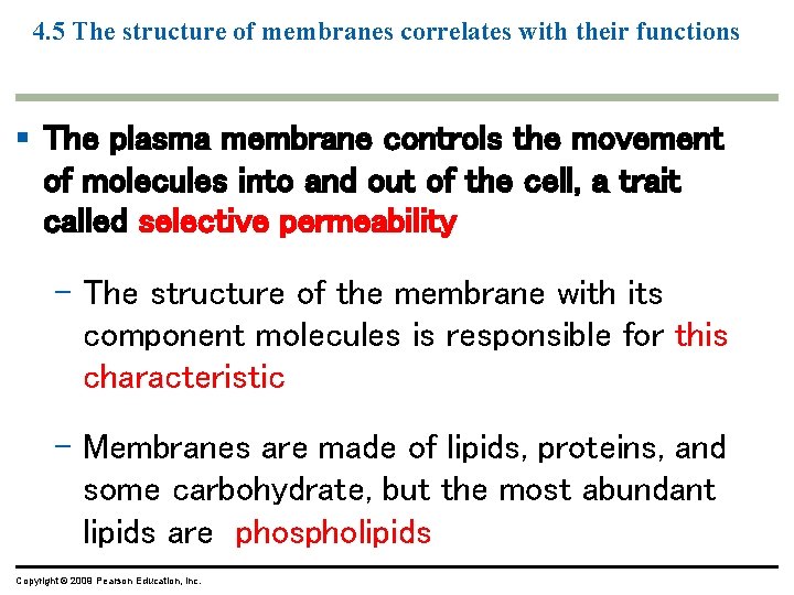 4. 5 The structure of membranes correlates with their functions § The plasma membrane 4. 5 The structure of membranes correlates with their functions § The plasma membrane