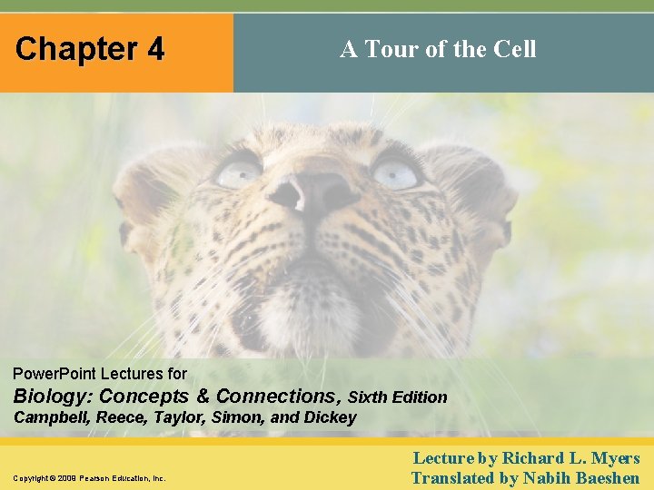 Chapter 4 A Tour of the Cell Power. Point Lectures for Biology: Concepts & Chapter 4 A Tour of the Cell Power. Point Lectures for Biology: Concepts &
