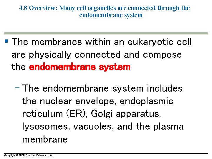 4. 8 Overview: Many cell organelles are connected through the endomembrane system § The 4. 8 Overview: Many cell organelles are connected through the endomembrane system § The